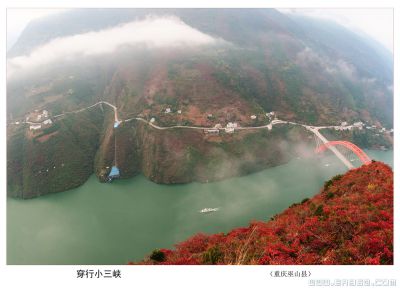 巫山红叶映大江