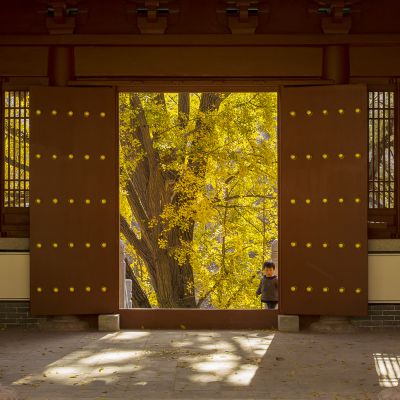 禅寺童心