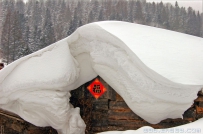 瑞雪兆福