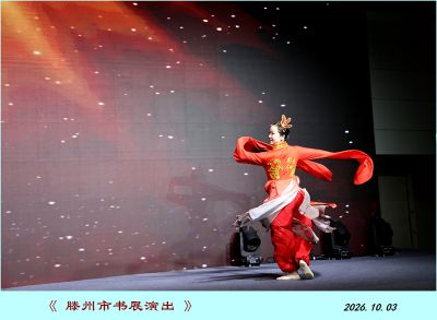 展示书城演出——1