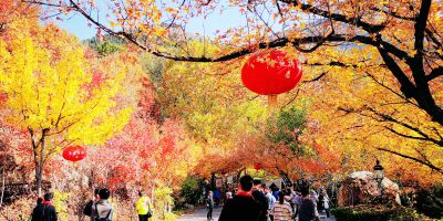 红叶谷风光