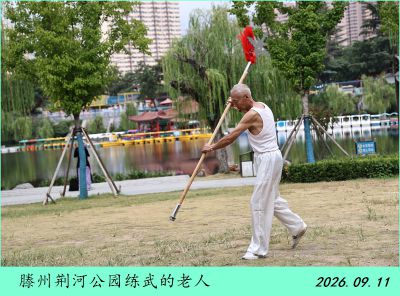 公园随拍——4