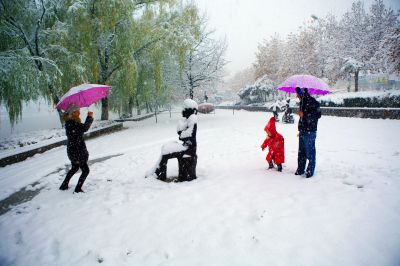 《雪中暖意》