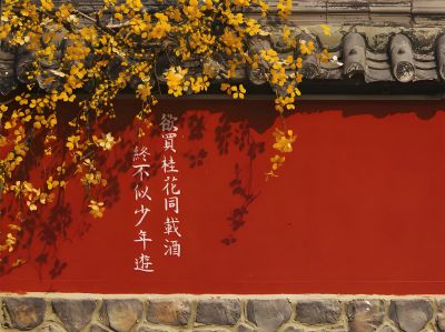 文化墙