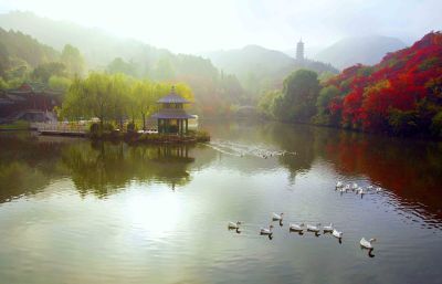 山色空濛