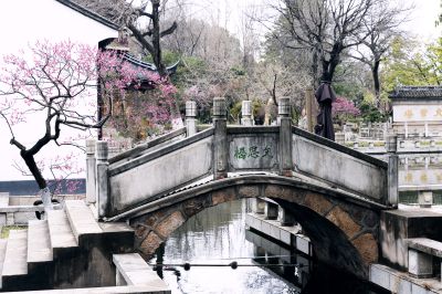 古韵幽芳