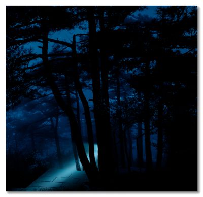 夜