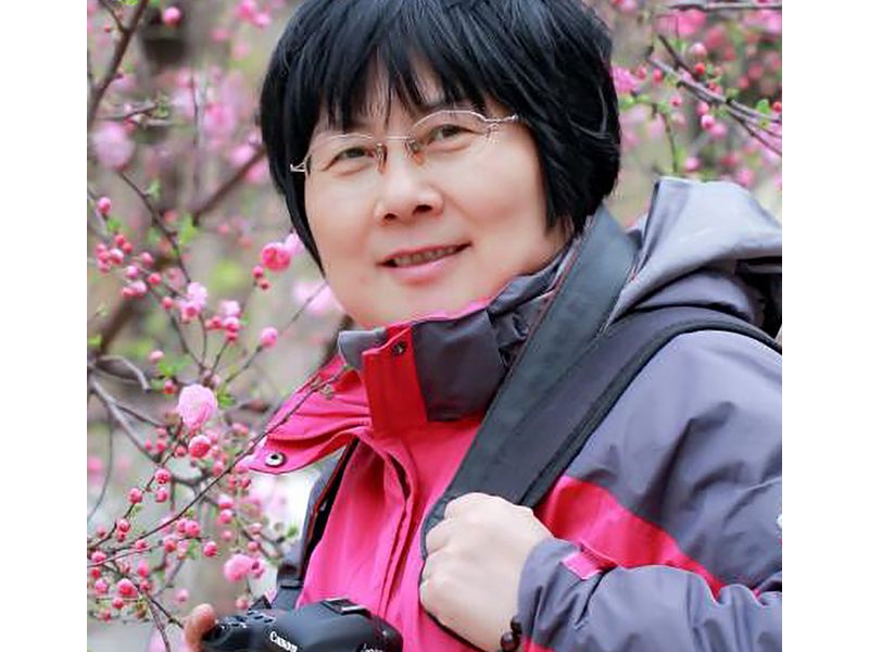 杨春燕