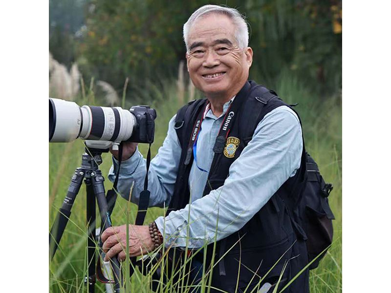 王振庆